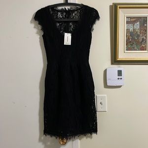 Babaton Lace Vneck Dress